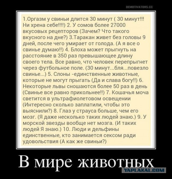 Небольшая подборка демотиваторов
