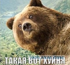 Королевы из социальных сетей
