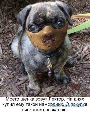Подскажите пожалуйста