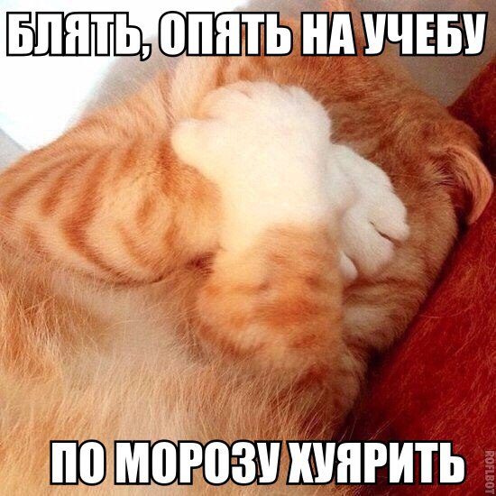Немного картинок и демотиваторов