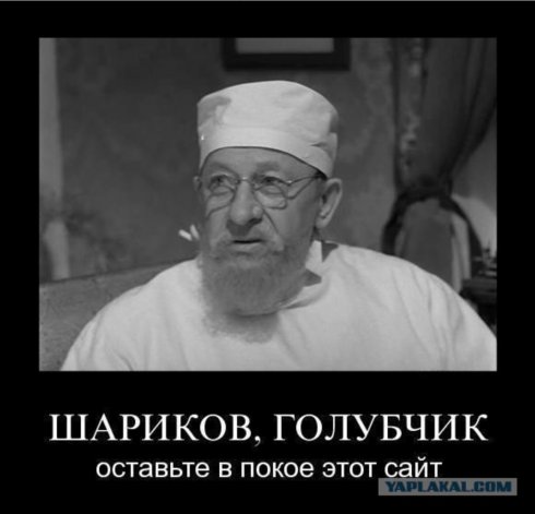 Народ! Кошка заемучила! Че делать?!