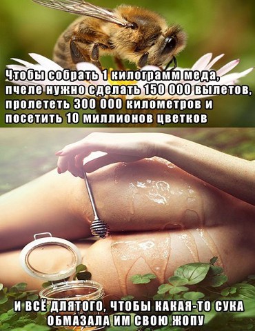 Картинки из интернетов