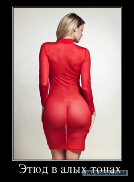 Подборка интересных и веселых картинок