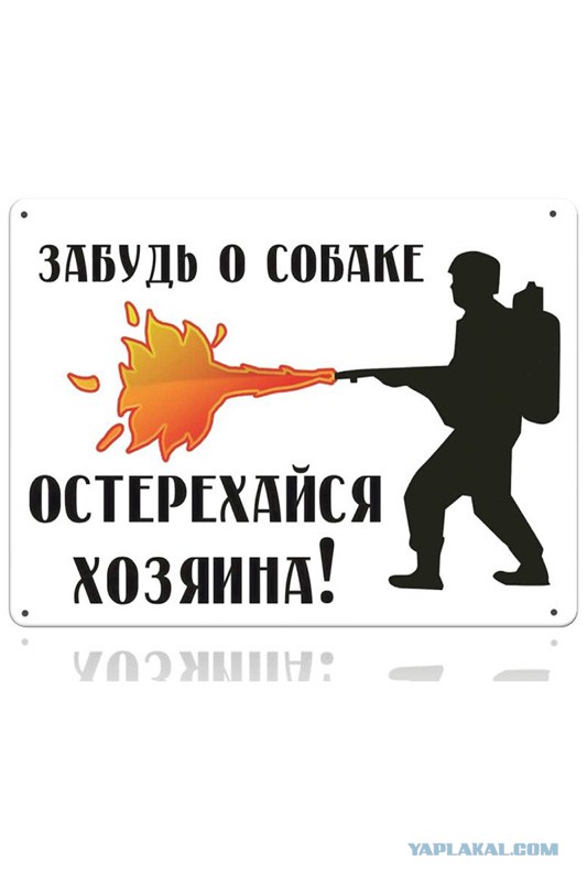 Подруга жены, ипотека и шуруповерт