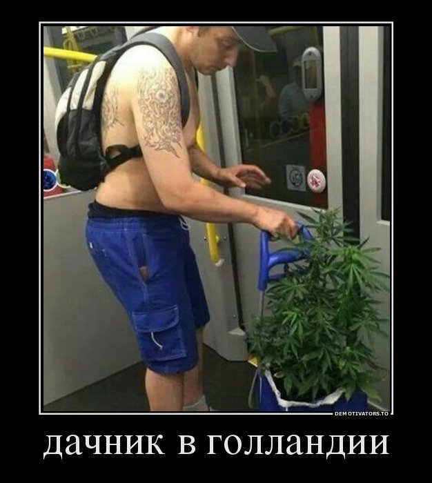 Подборка веселых демотиваторов на сегодня