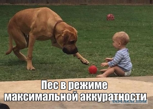 Картинки из сети
