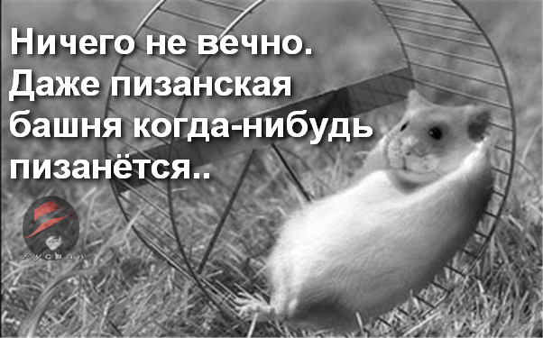 Смешные комментарии из социальных сетей 17.06.2016