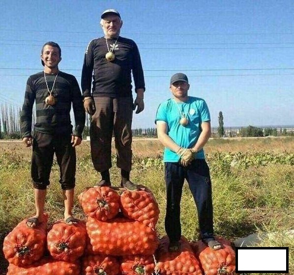 Я понятия не имею, что здесь происходит