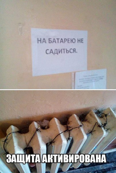 Подборка безудержного веселья