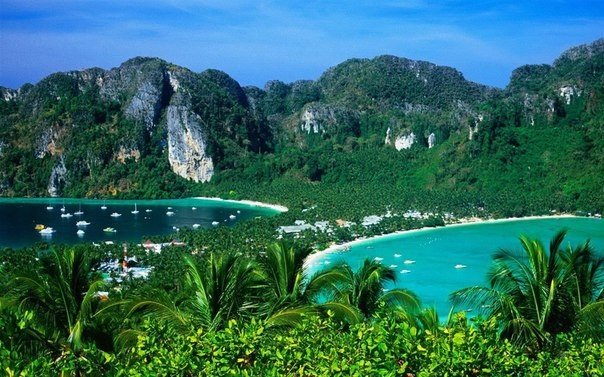 Моменты, запечатлённые на фото и просто позитив 5