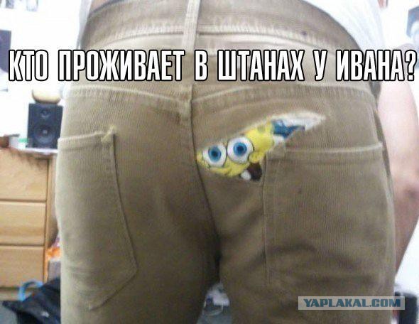 Подборка интересных и веселых картинок