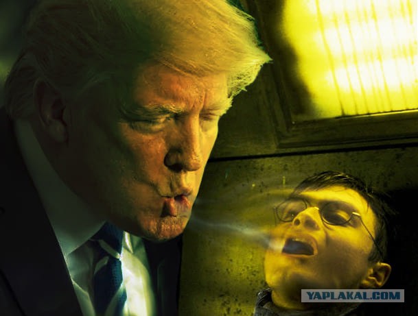 Свежая подпорка жаб на Трампа
