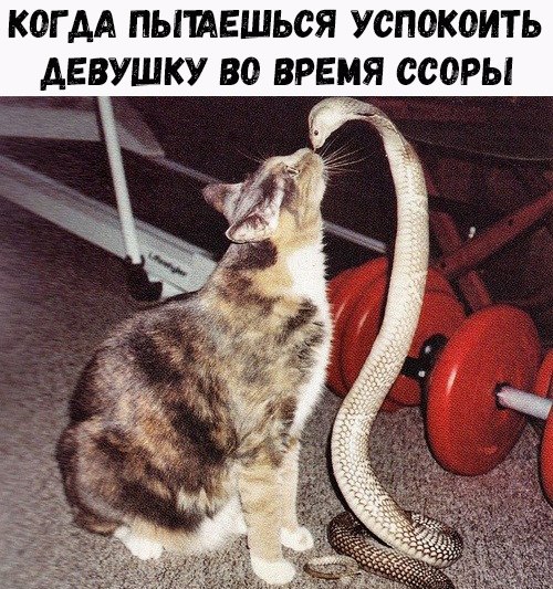 Подеградируем, немного картинок веселых и разных