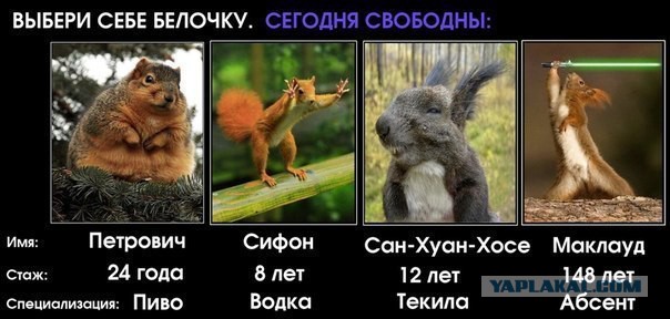 О численности войска Батыя в походе на Русь 1237-1238 гг.