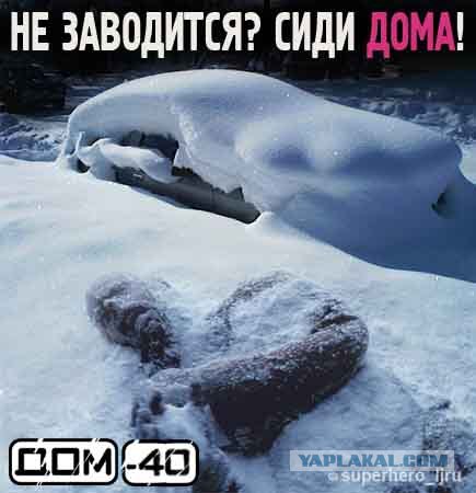 Хозяина убили или хозяйка забыла где припарковала?