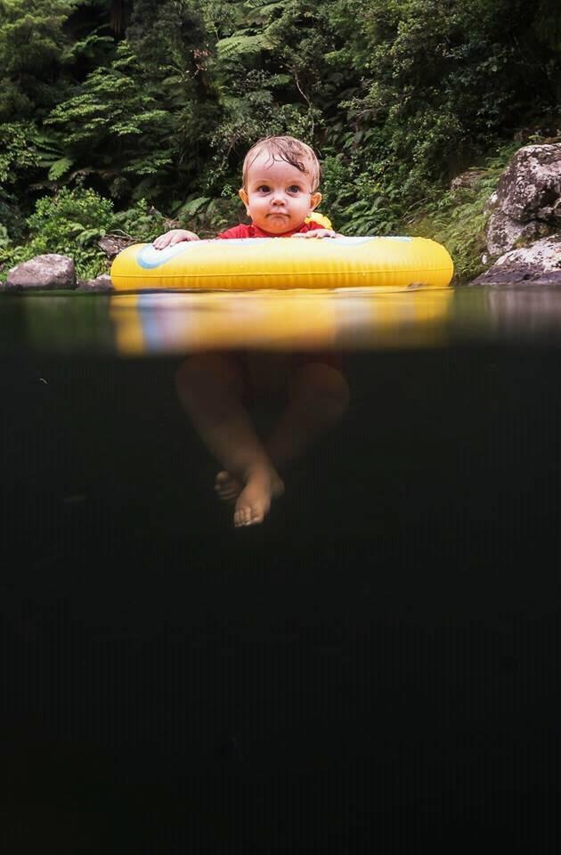 Фотографии моря и его обитателей, после которых даже на ванну начинаешь поглядывать с опаской