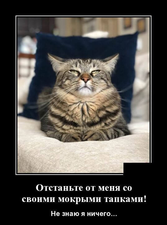 Давным-давно такое называлось ДЕМОТИВАТОРЫ