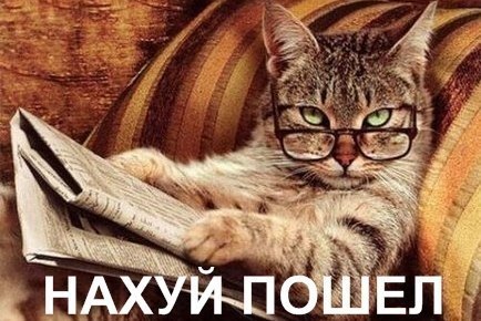 Сосед по даче вегетарианец запретил мне шашлык жарить