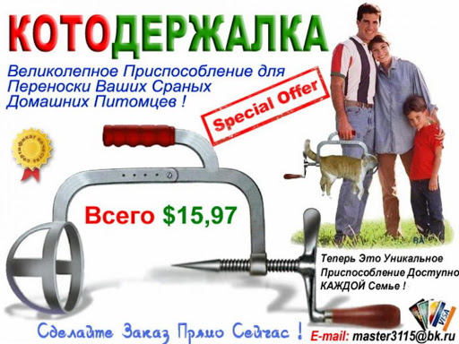 Кошки родятся быстро, говорят. А делаются как?