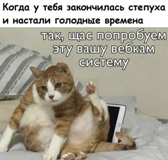 Возвращение вебкамщецы