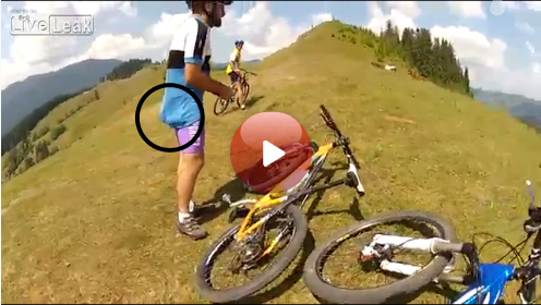 Лошадка и велосипедист