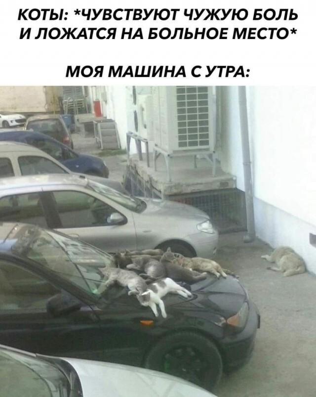 Баянисто-небаянистый юмор 12.07.21