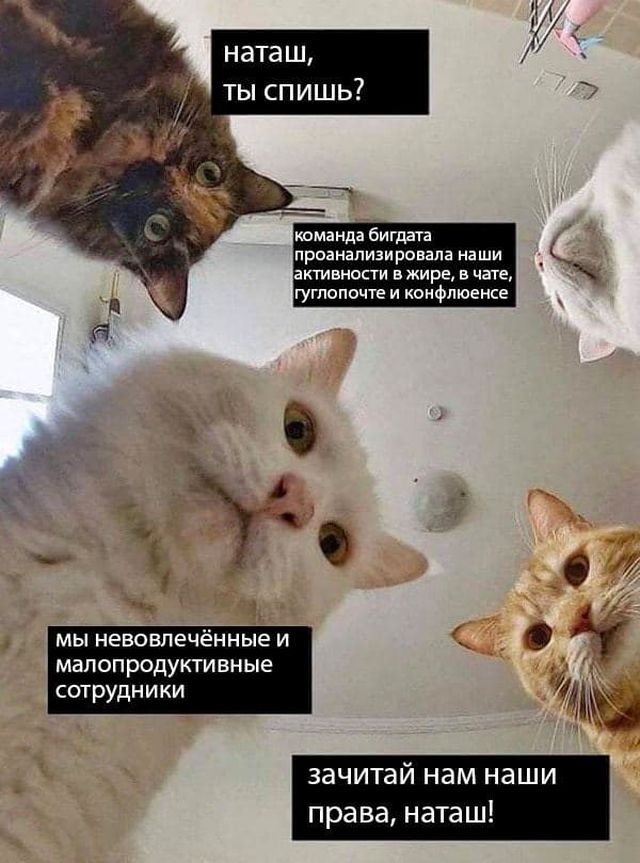 Skynet наносит удар
