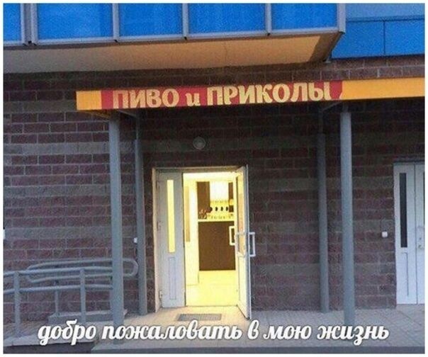 Весёлый полтишок 8.08