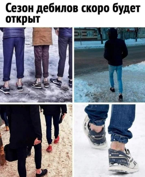 Всяческие картинки 29.11.2021