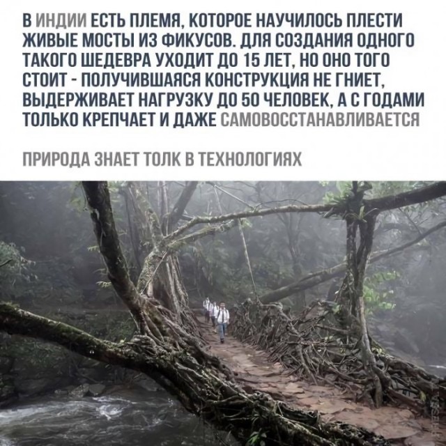 Картинки и мемы для настроения 01.12.2021