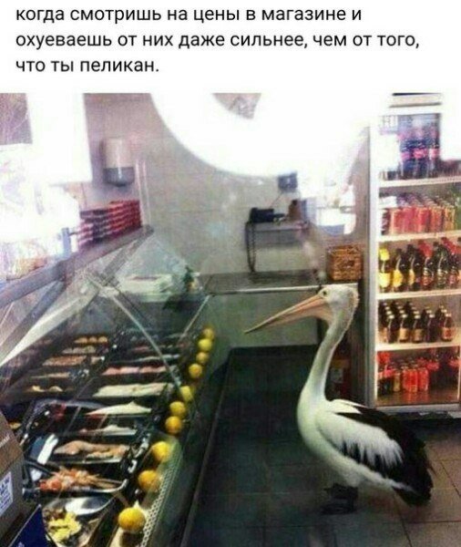 Разные картинки для настроения на любой вкус - 6
