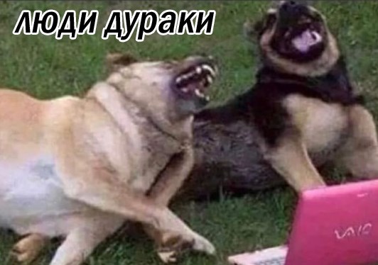 Вообще-то, мне гораздо больше хотелось бы иметь собаку, чем жену. (Малыш)