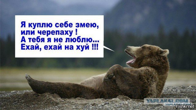 Власти отменили все концерты литл биг в России