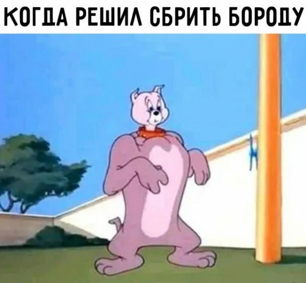 Не бейте баяниста - играет, как может
