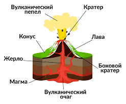 Ученые нашли Корневую систему под Скалой