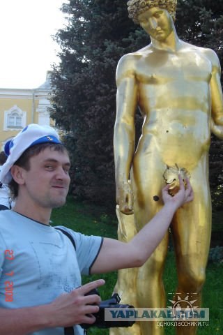 Дикие фото из социальных сетей