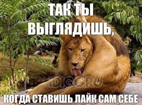 10-ка ещё одна картинок для падонгов