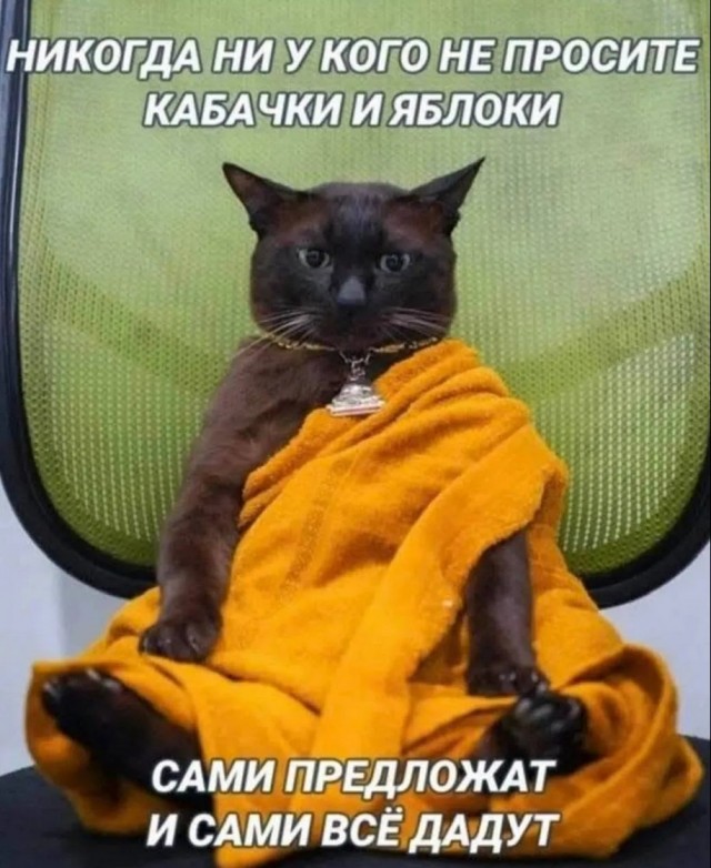20259121.jpg