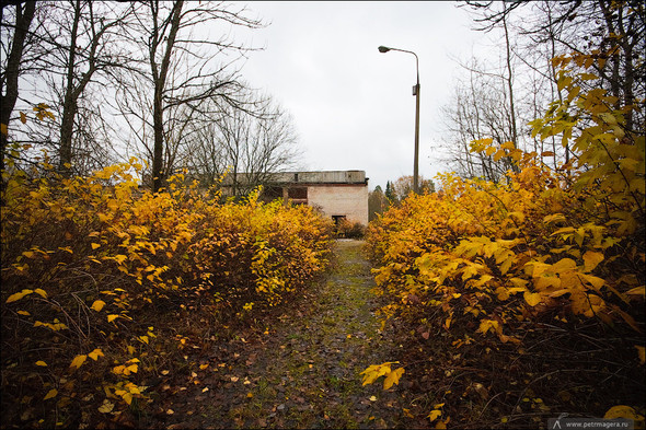 Радиолокационная станция «Дунай-3м» (19 фото)
