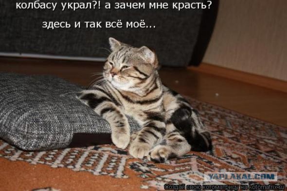 Не юкки ради, улыбки для...