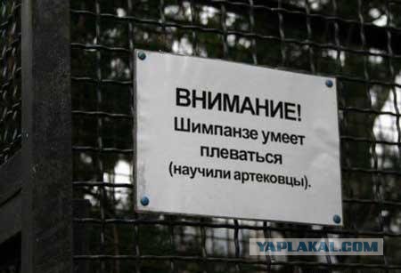 Весёлое из сети