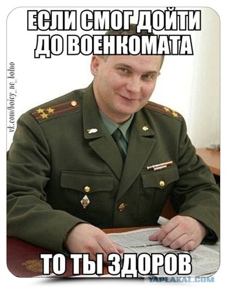 Приколы из сети