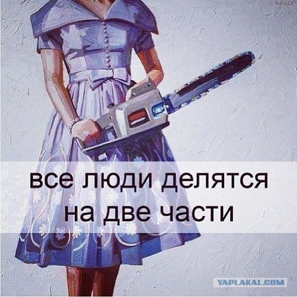 Мешанина прикольных картинок из сети