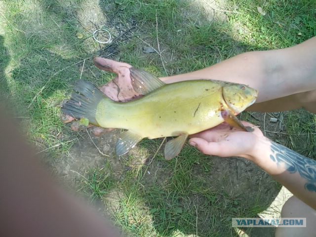 Рыбалка на Озернинском водохранилище