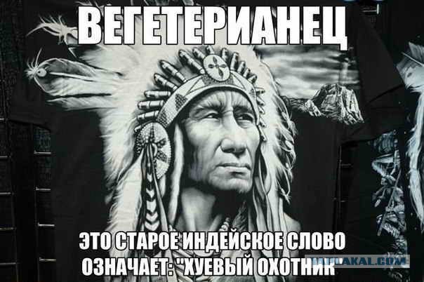 Совет вегетарианцам
