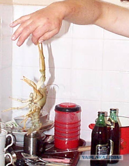 с 1 января запрещена продажа пива ночью