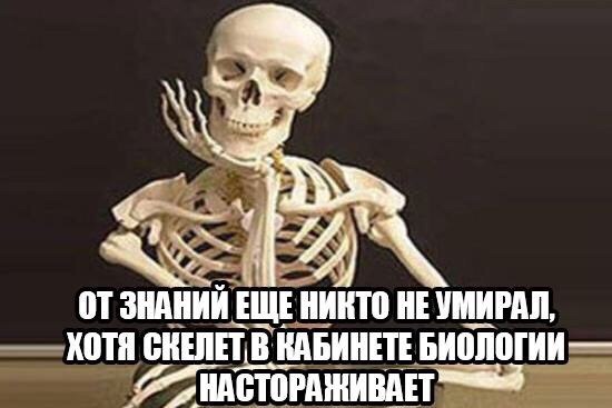 Подборка картинок на 05.04.16