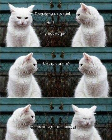 Мохнатые беспредельщики