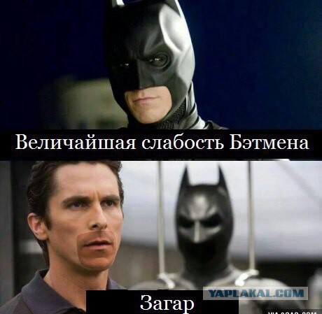 Смешные комментарии из социальных сетей 10.06.2016