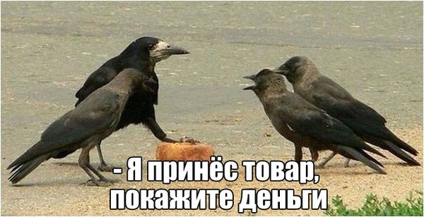 Подборка интересных и смешных картинок